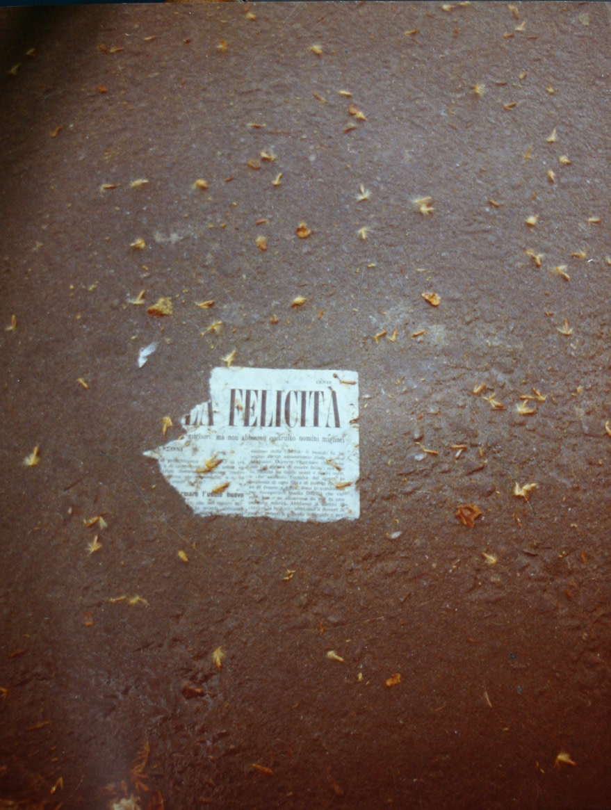 2. Luigi Ghirri Felicità Thomas Dane